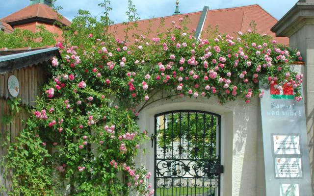 Ausflugstipp: Rosen- und Kräutergarten in Seitenstetten