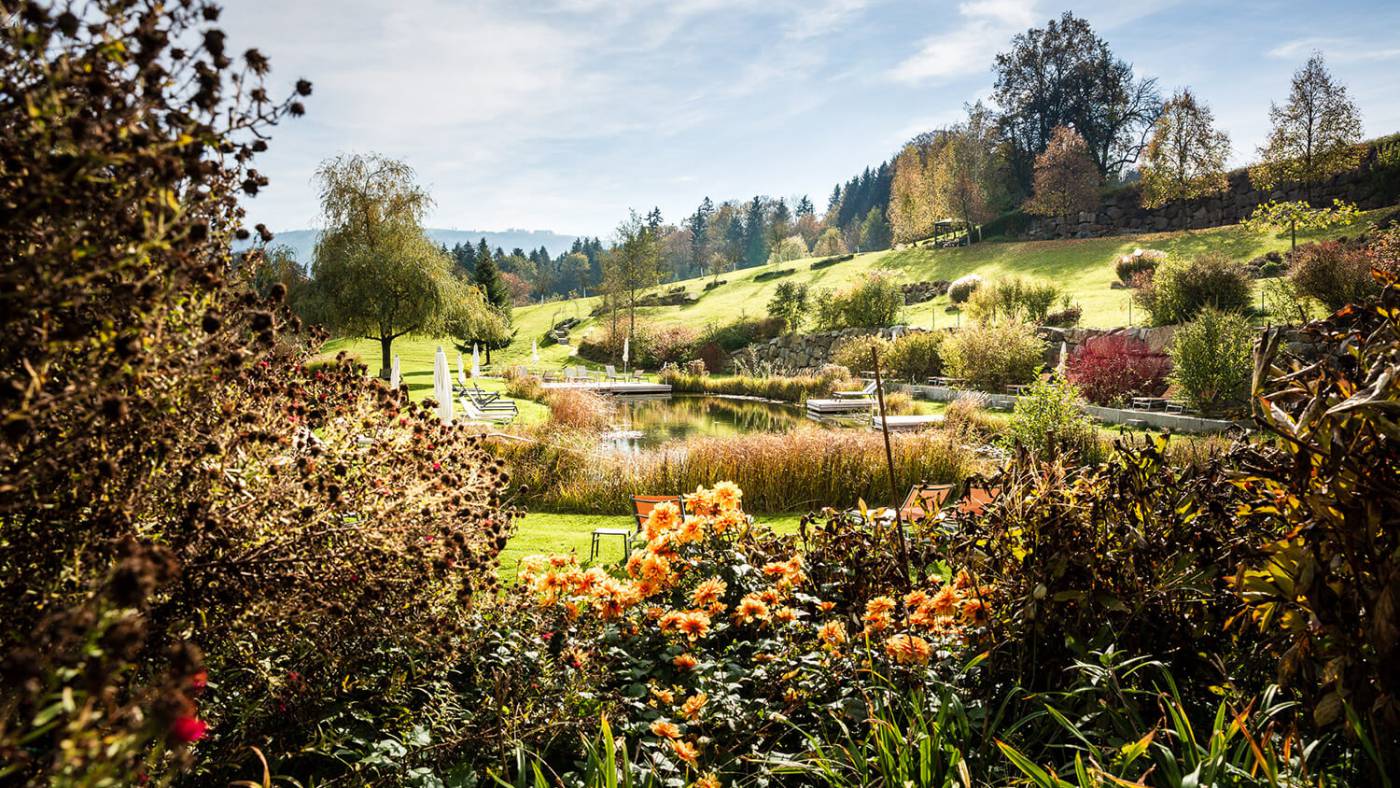 7 Gründe, warum wir den Herbst im Mostviertel lieben