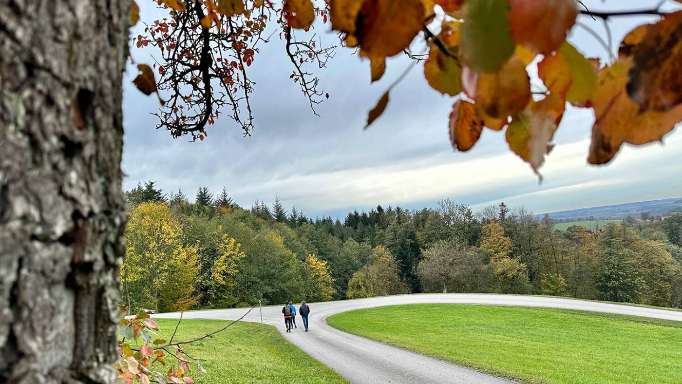 Der Kothmühle Wanderweg