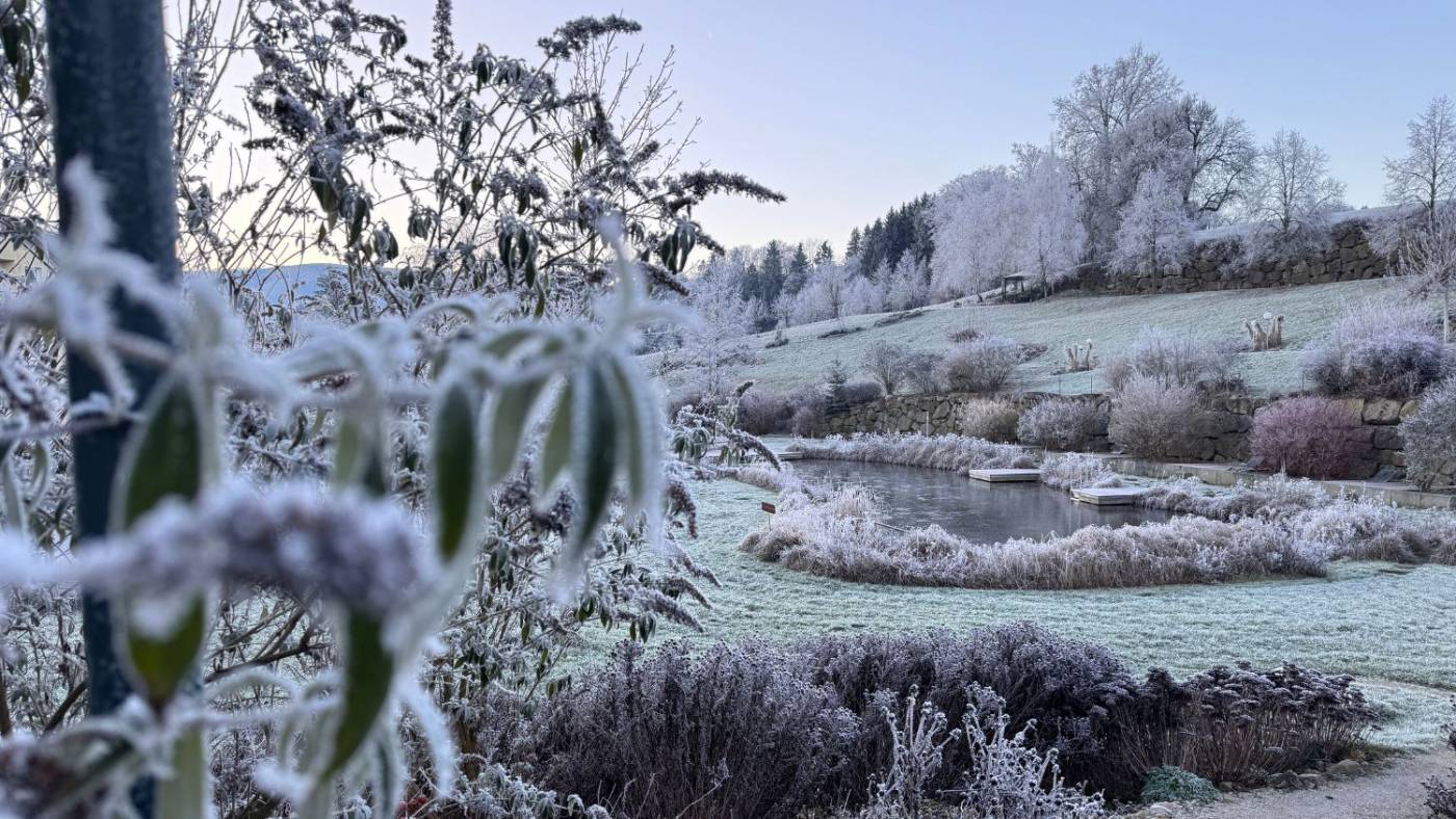 Winter Arc statt Winter Blues - bewusst durch die kalte Jahreszeit