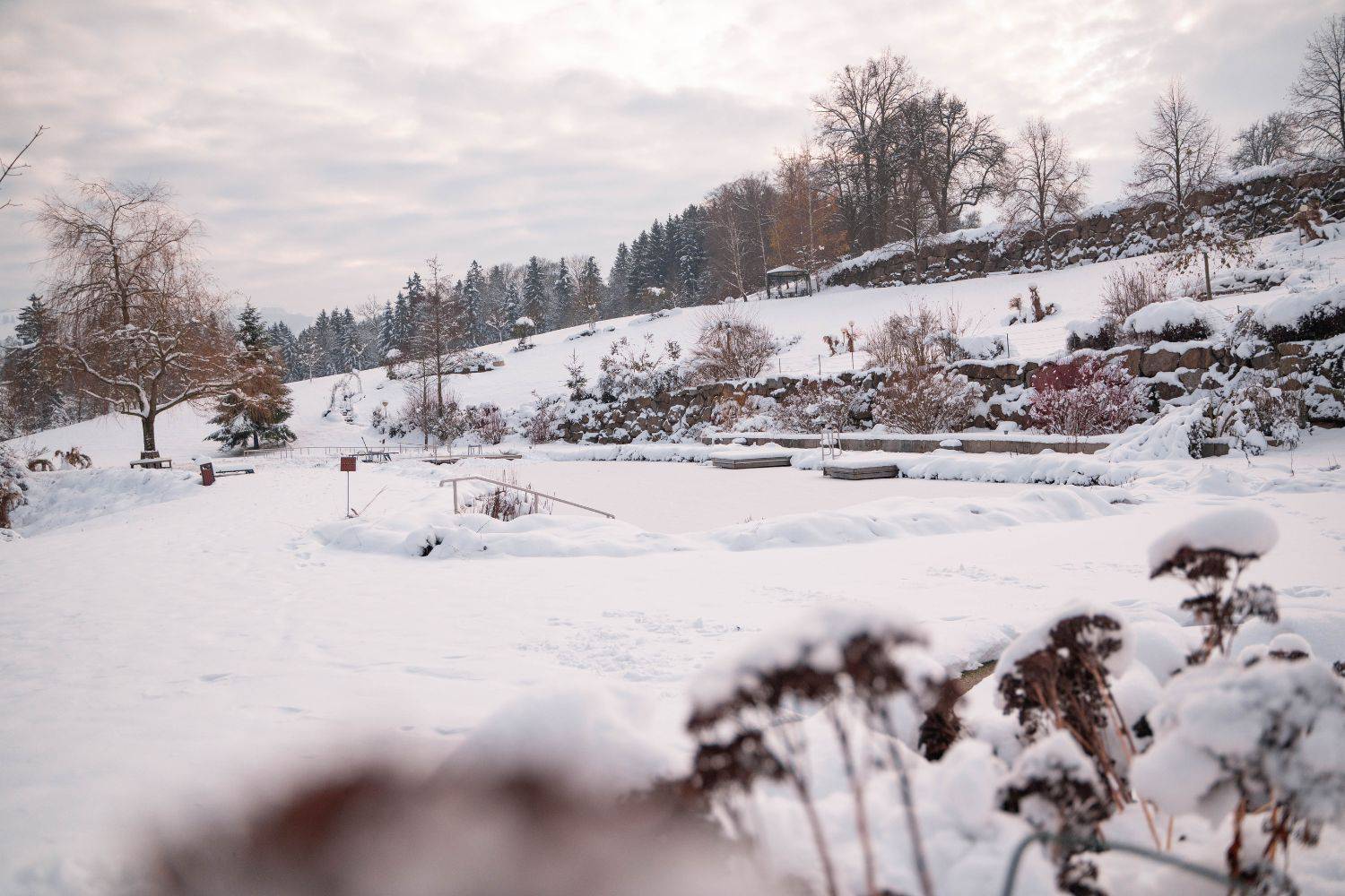 RelaxGarten im RelaxResort Kothmühle