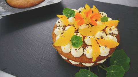 Süße Kürbis Rezepte – herbstliche Desserts zum Genießen