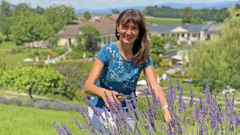 4 einfache Rezepte mit Lavendel