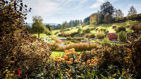7 Gründe, warum wir den Herbst im Mostviertel lieben
