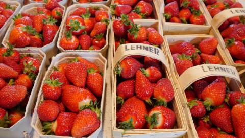 Frühsommerzeit ist Erdbeerzeit