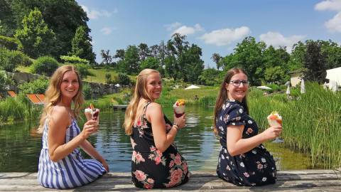 ICE, ICE BABY – Unsere Bio-Eisbecher 🍨
