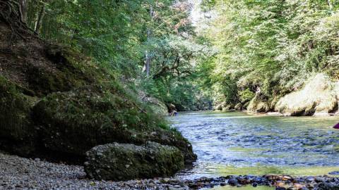 Erlaufschlucht Purgstall: Wandern & Abkühlung im Mostviertel