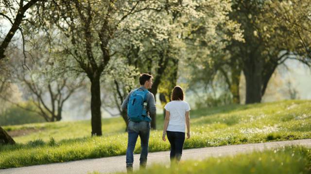 Wandern & Nordic Walking