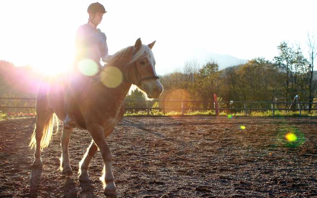 Reiten