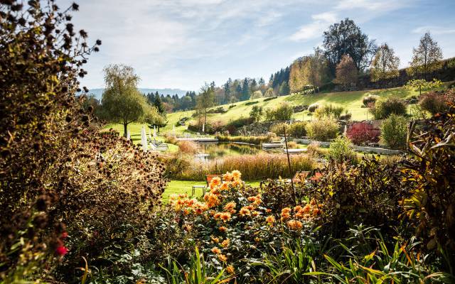 7 Gründe, warum wir den Herbst im Mostviertel lieben