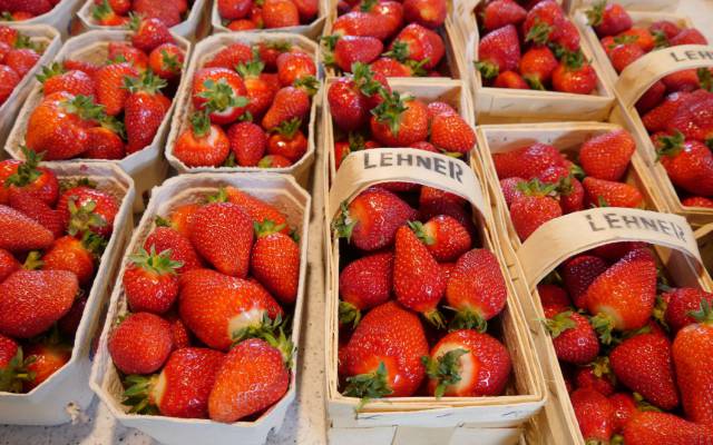 Frühsommerzeit ist Erdbeerzeit