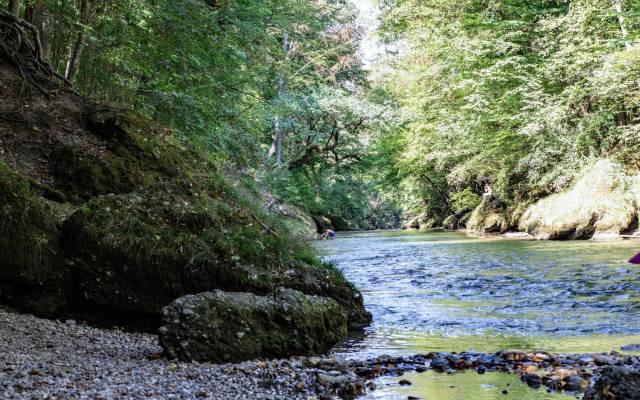 Erlaufschlucht Purgstall: Wandern & Abkühlung im Mostviertel