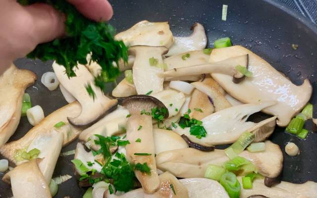 Bio Kräuterseitling – das bessere Fleisch