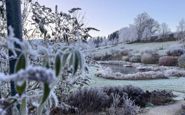 Winter Arc statt Winter Blues - bewusst durch die kalte Jahreszeit