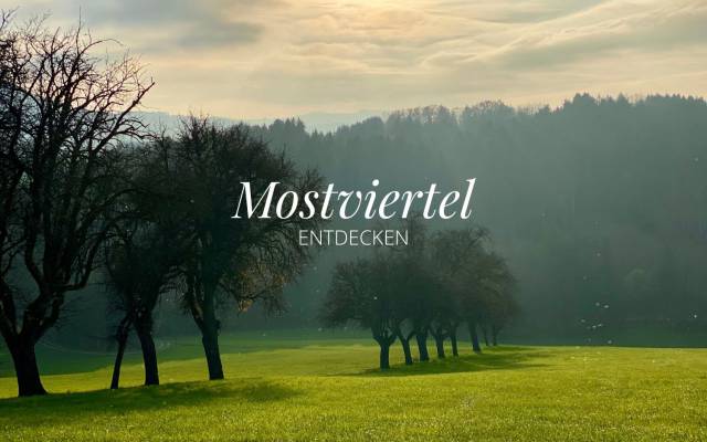 Das Mostviertel entdecken