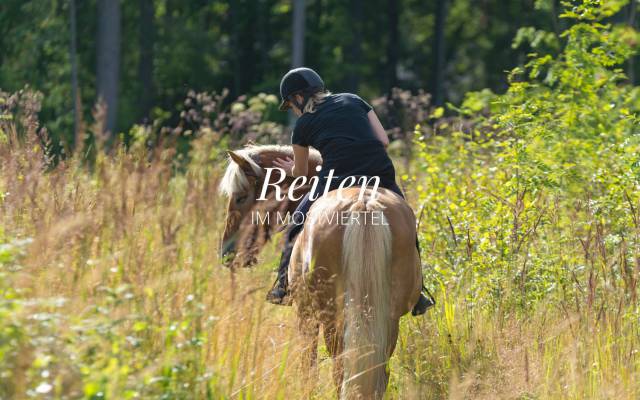 Reiten im Mostviertel
