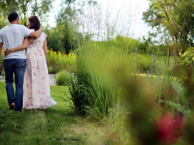 A Walk in the garden