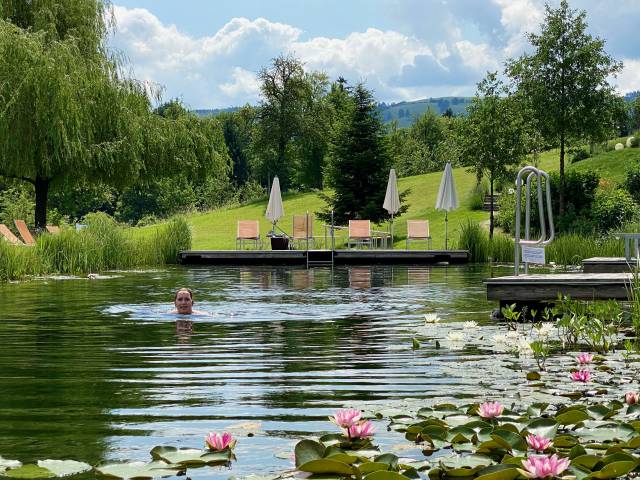 Time out at the natural bathing pond in Lower Austria