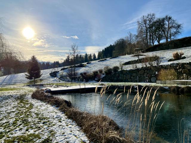 Naturbadeteich im Winter