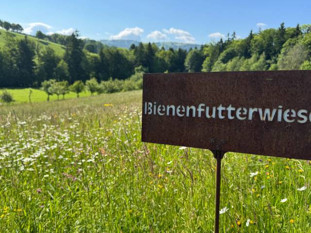 Bienenfutterwiese 