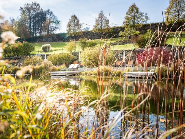 Relaxgarden in autumn