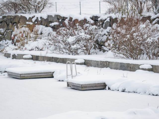 Natural swimming pond in winter