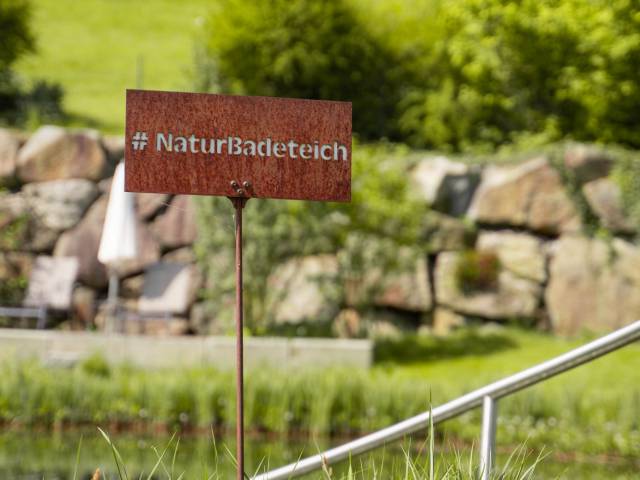 natural swimming pond