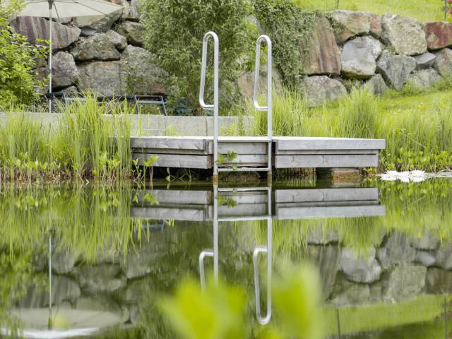 natural swimming pond