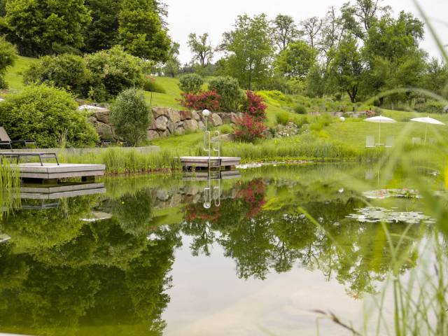 natural swimming pond