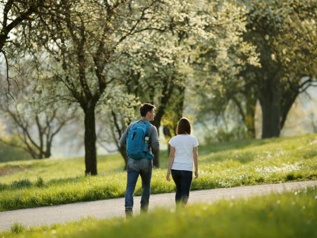 Hiking in the Mostviertel region