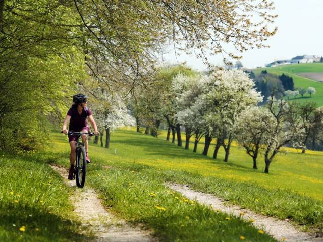 Cycling in the Mostviertel region