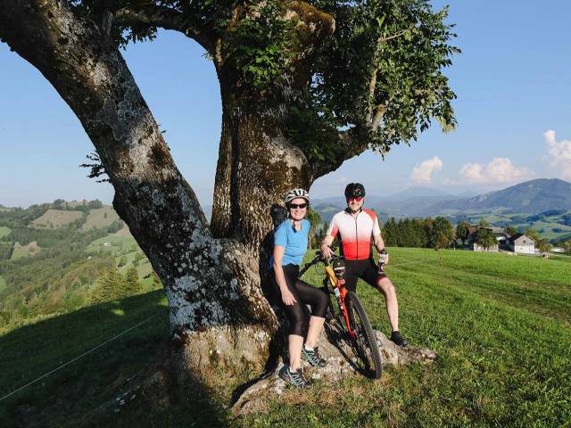 Cycling in the Mostviertel region