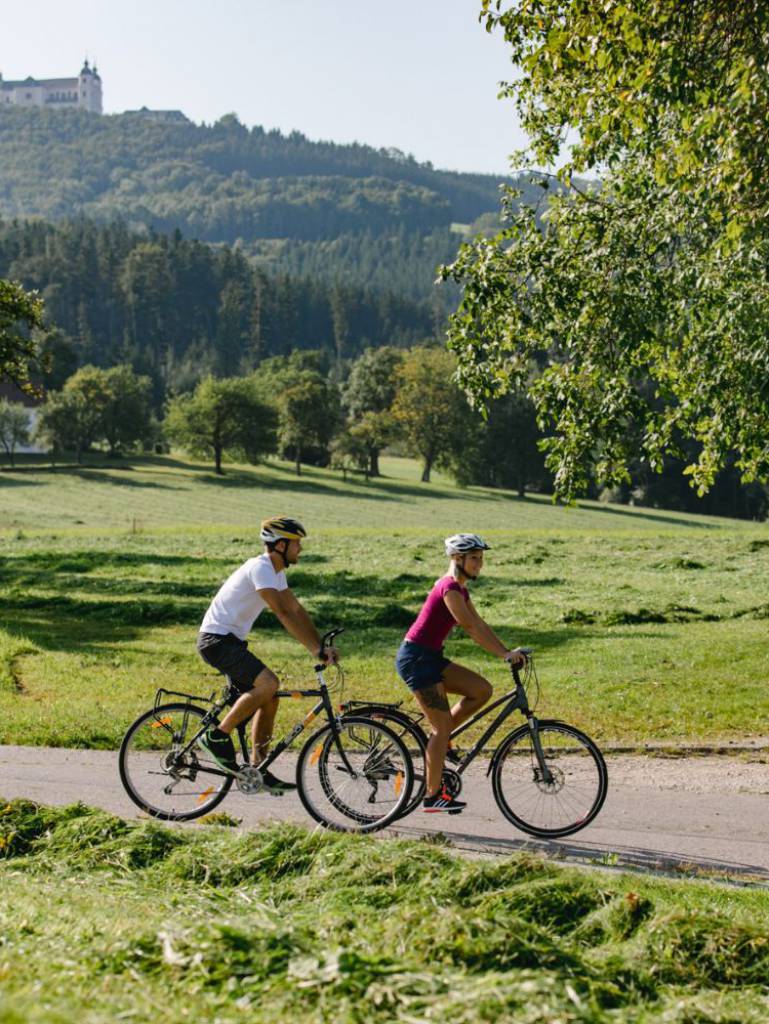 Aktivurlaub im Mostviertel - Relax Resort Kothmühle
