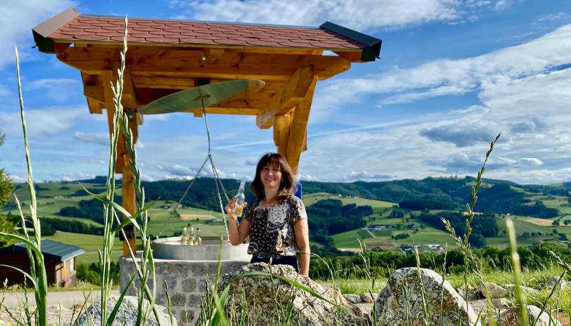 5 beliebte Wanderwege rund um die Mostbrunnen