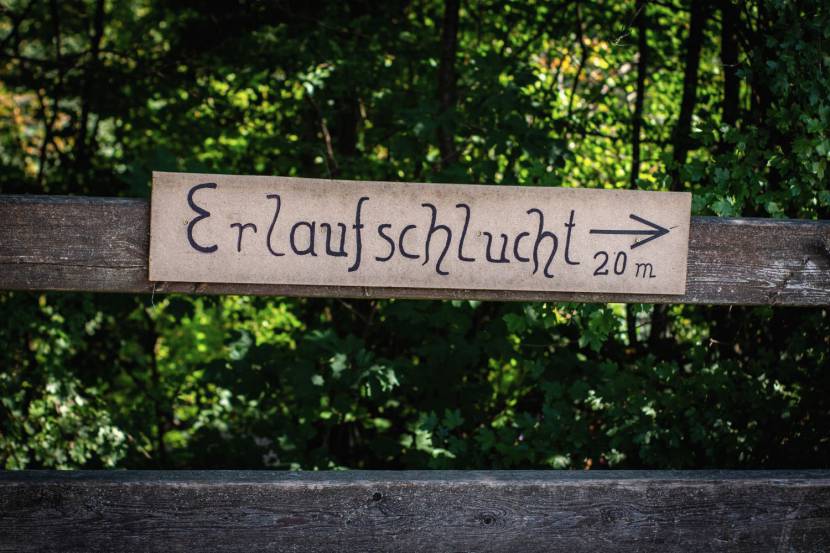 Erlaufschlucht in Purgstall
