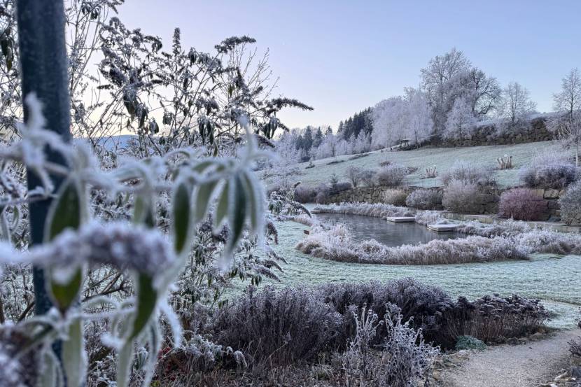 Raureif im RelaxGarten