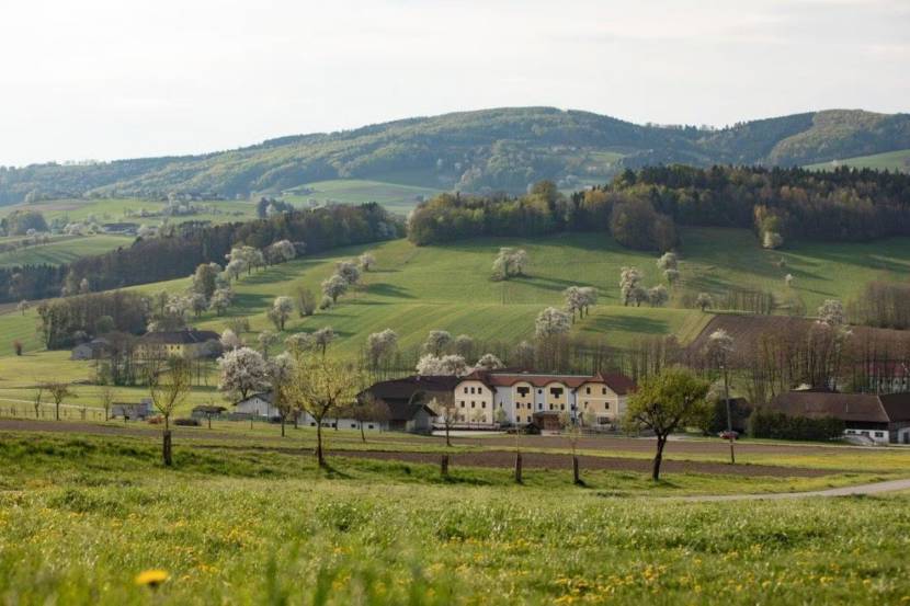 Hochkogel-Panoramarundweg mit Ausblick aufs Mostviertel