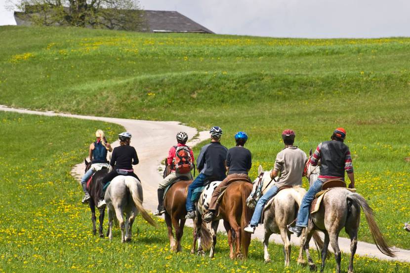 Reiten im Mostviertel
