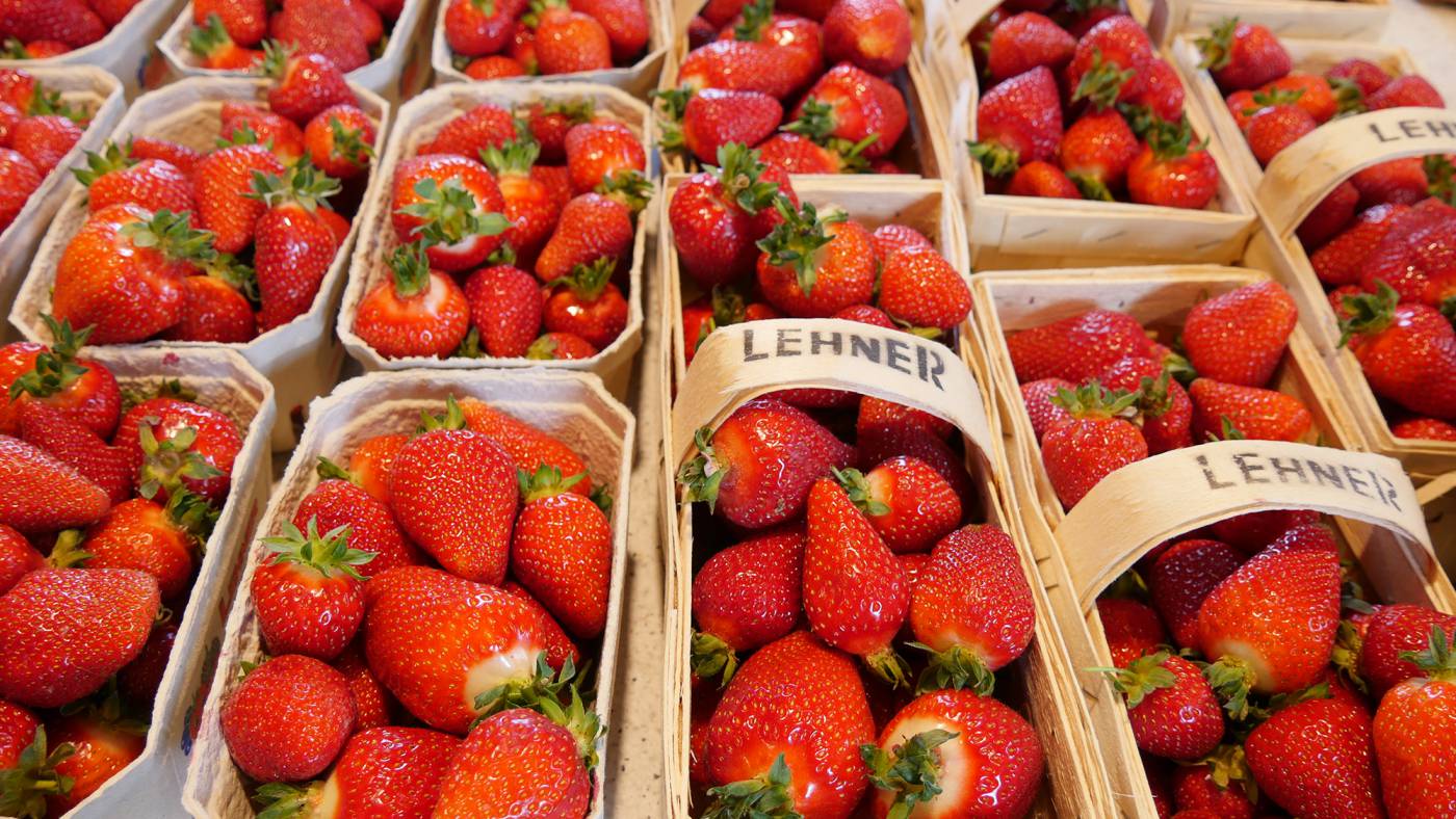 Frühsommerzeit ist Erdbeerzeit