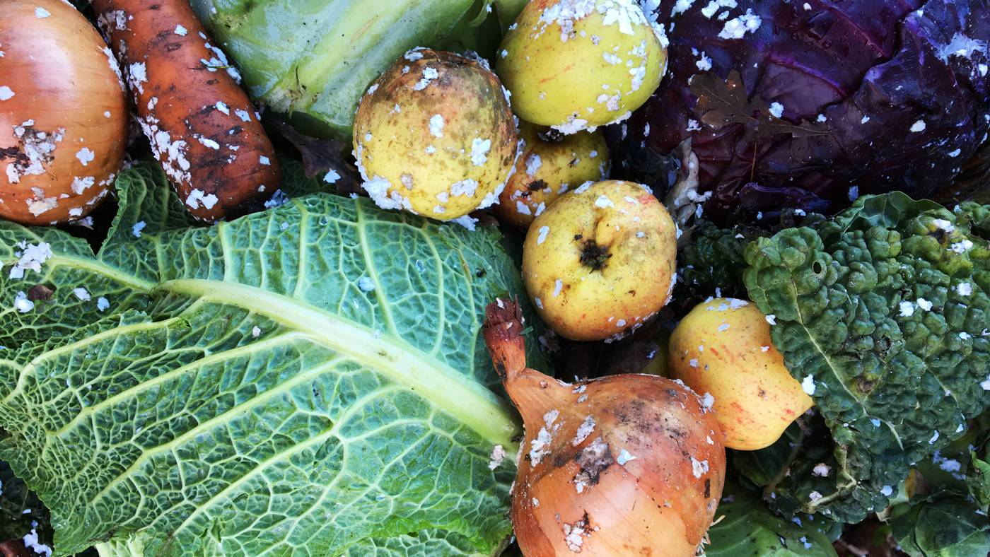 Superfood: Wintergemüse