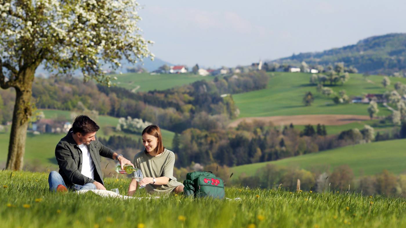 12 Geheimplatzerl für Ihr Picknick am Panoramahöhenweg