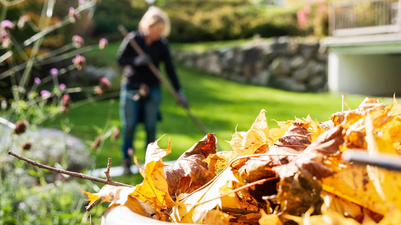 Mein schöner Garten – die zehn besten Tipps zur Gartenarbeit im Herbst