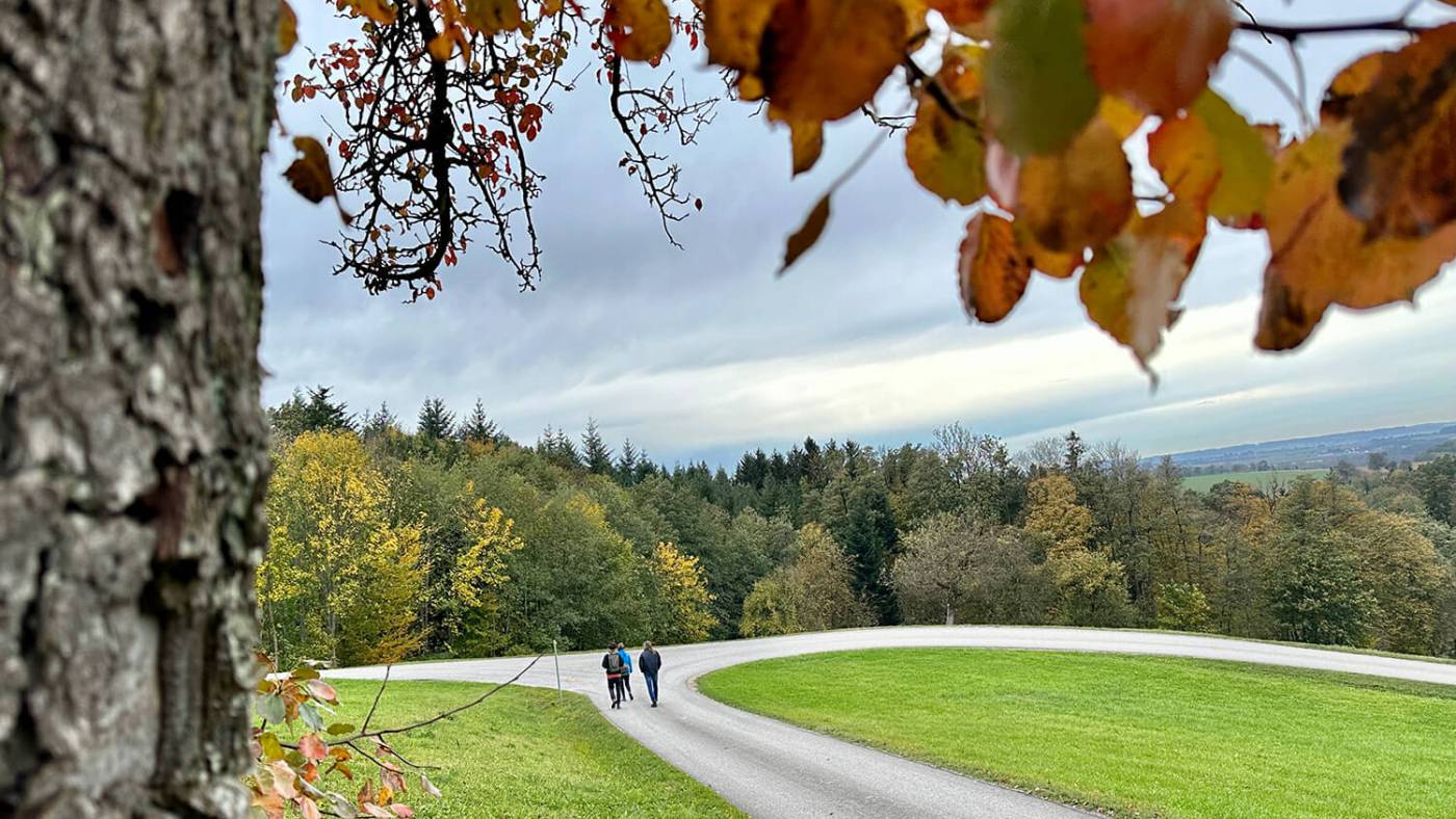 Der Kothmühle Rundwanderweg