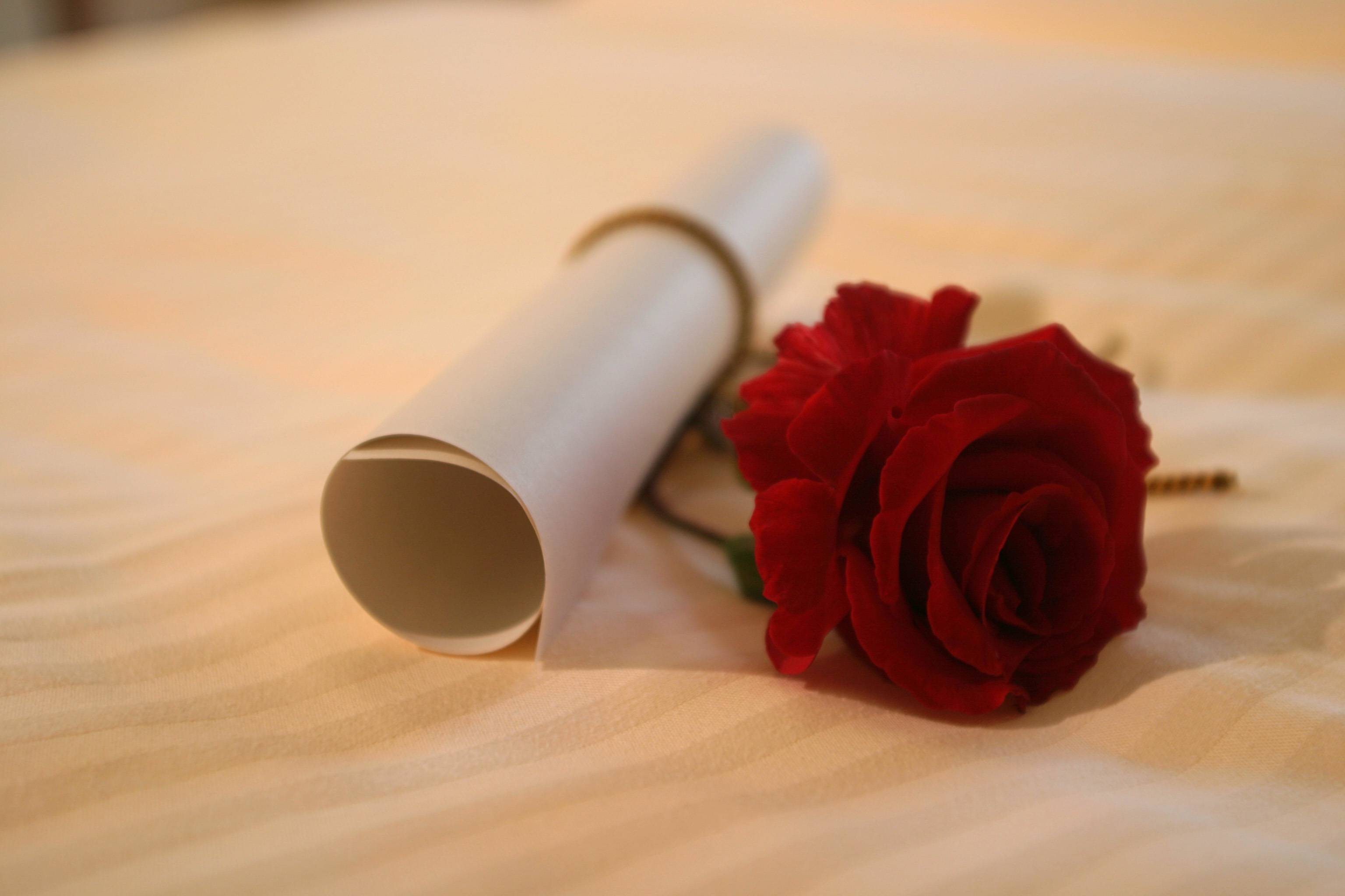 Rose mit romantischem Gutschein vom RelaxResort Kothmühle