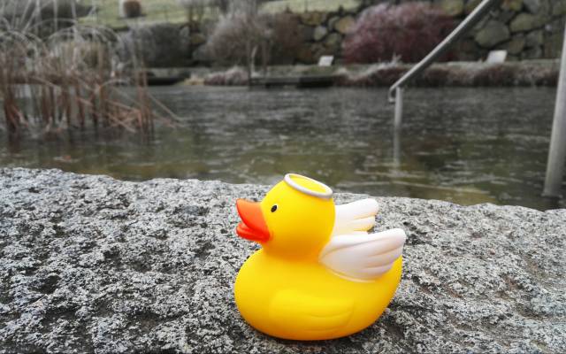 Die Badesaison ist eröffnet – Wellness beim Eisbaden