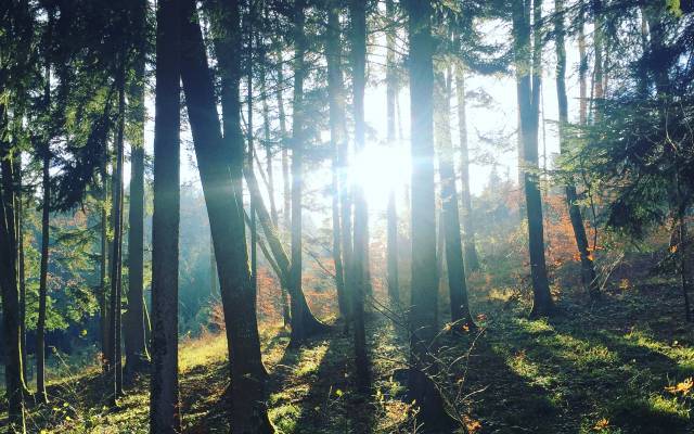 Positiv denken in der Natur - Zwei Organisationsentwickler im Interview 