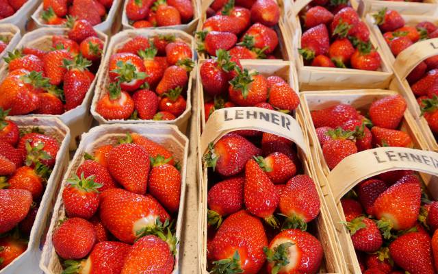 Frühsommerzeit ist Erdbeerzeit