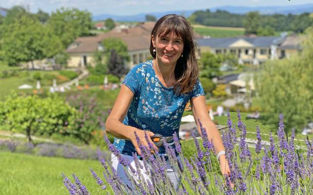 4 einfache Rezepte mit Lavendel