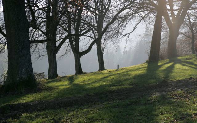 Checkliste Wellnessurlaub - Was ein Kurzurlaub ins Mostviertel braucht, oder auch nicht!