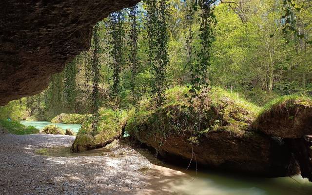 Erfrischender Abenteuertrip: Die Erlaufschlucht